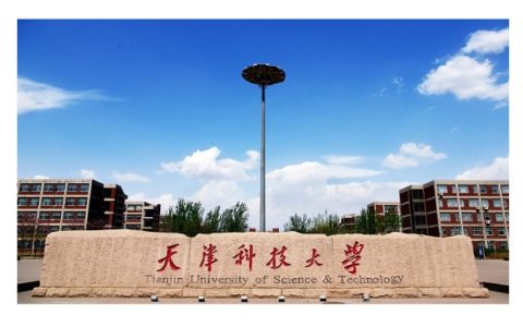 天津科技大学毕业生档案里有成绩单吗？